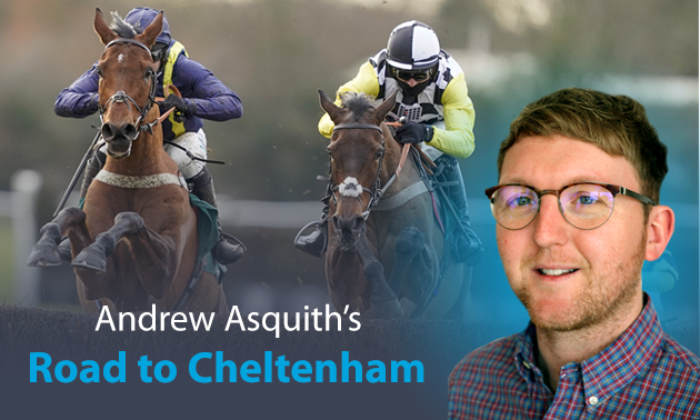 Road To Cheltenham Festival Cheltenham Ante Post Betting Timeform