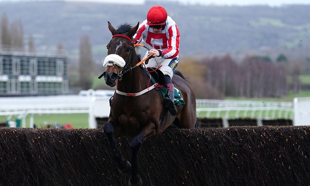 2024 Cheltenham Festival Ante-post Preview And Tips